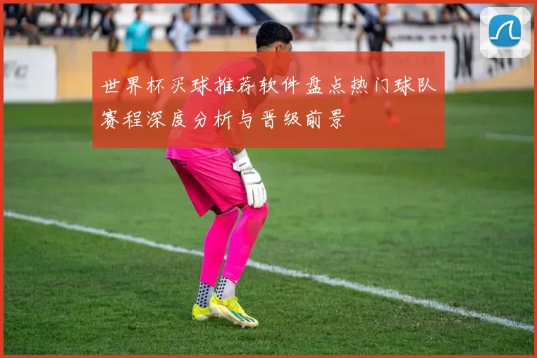 世界杯买球推荐软件盘点热门球队赛程深度分析与晋级前景