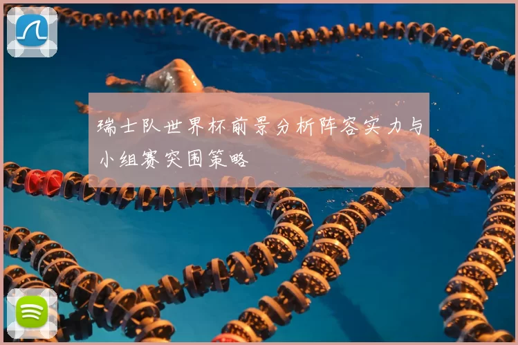 瑞士队世界杯前景分析阵容实力与小组赛突围策略