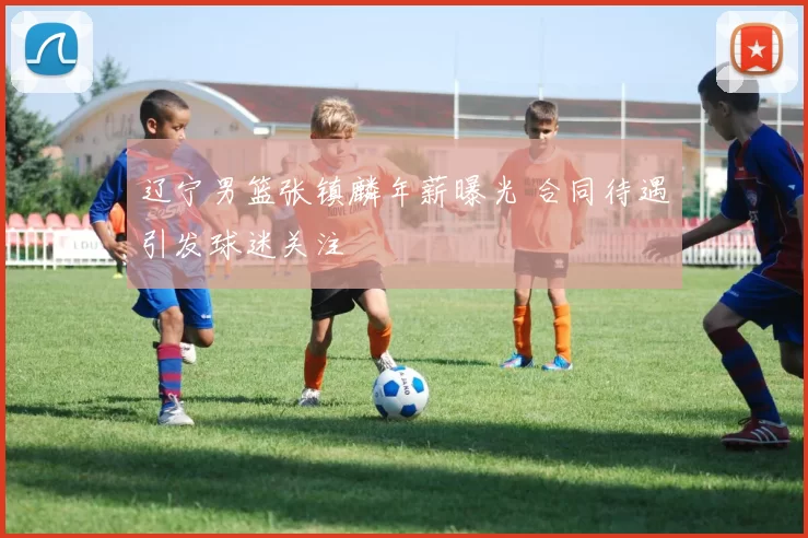 辽宁男篮张镇麟年薪曝光 合同待遇引发球迷关注