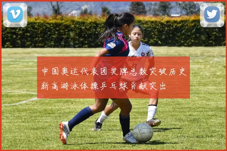 中国奥运代表团奖牌总数突破历史新高游泳体操乒乓球贡献突出