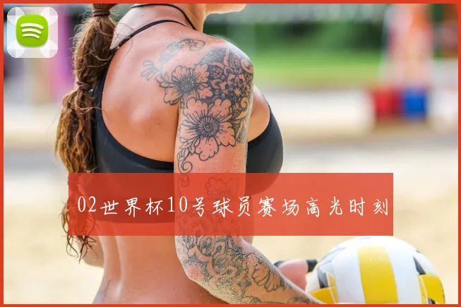02世界杯10号球员赛场高光时刻