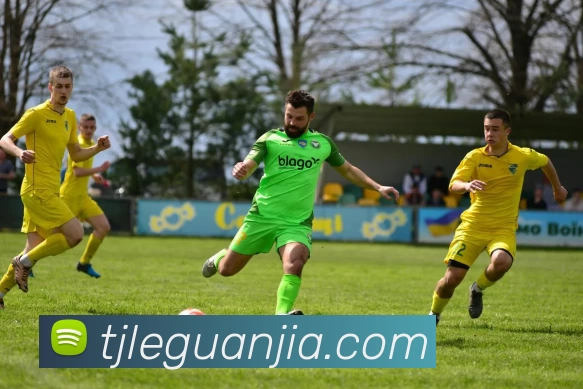 星空在线登录官网品牌故事